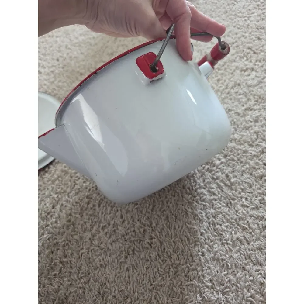 Vintage Large Tea Kettle/Pot With Goose